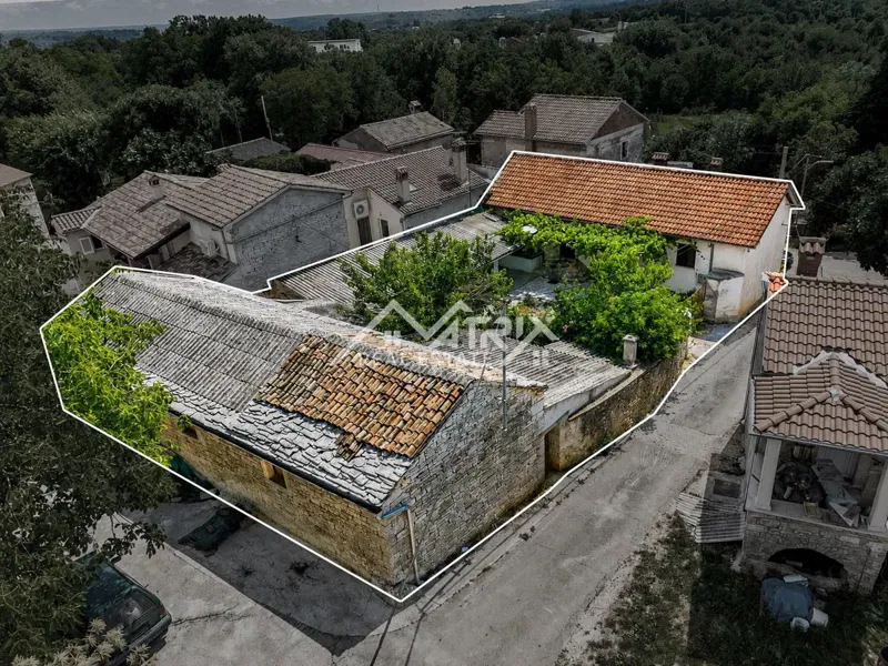 Tinjan okolica, imanje za obnovu s potencijalom