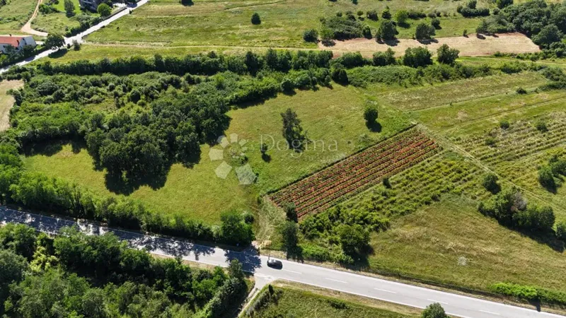 Building land Prodol, Marčana, 6.370m2 – 3
