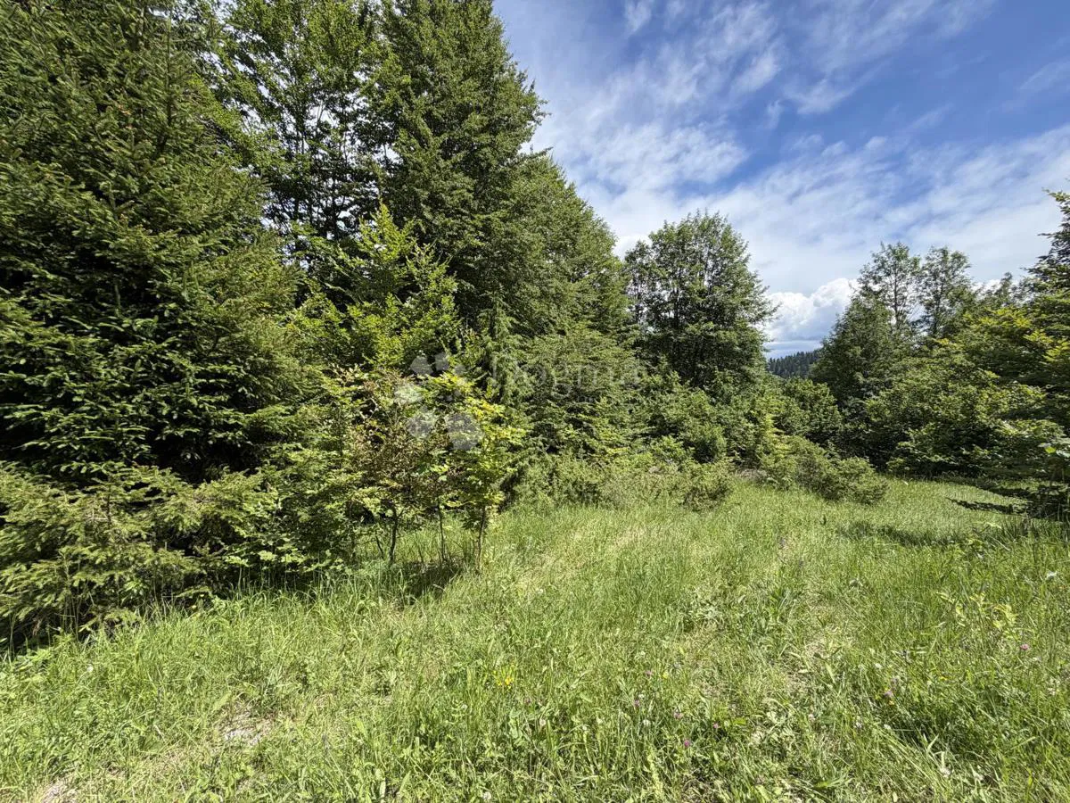 Teren budowlany Stari Laz, Ravna Gora, 3.970m2