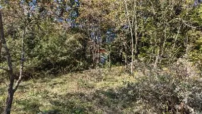 Земельный участок нестроительного назначения Martinski, Sveta Nedelja, 29.300m2