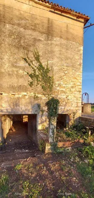 Galižana – stone house with building land and cistern – 3