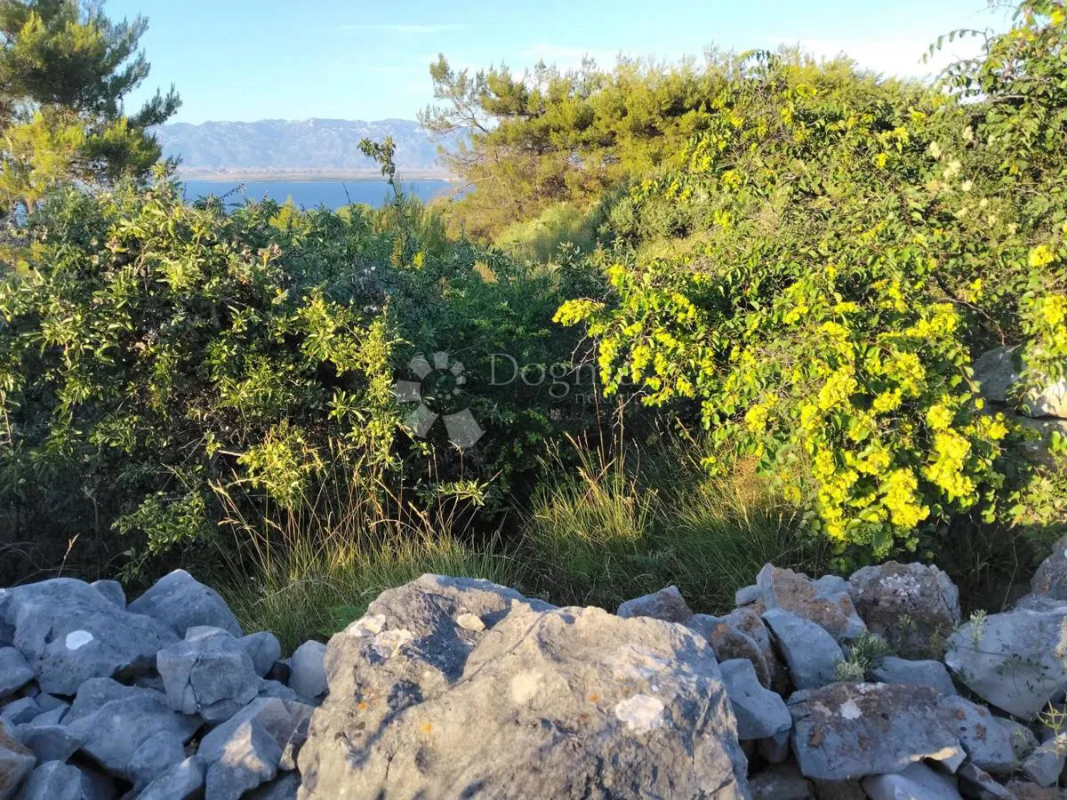 POLJOPRIVREDNO ZEMLJIŠTE 1360 m² – OTOK VIR (650 METARA OD MORA)