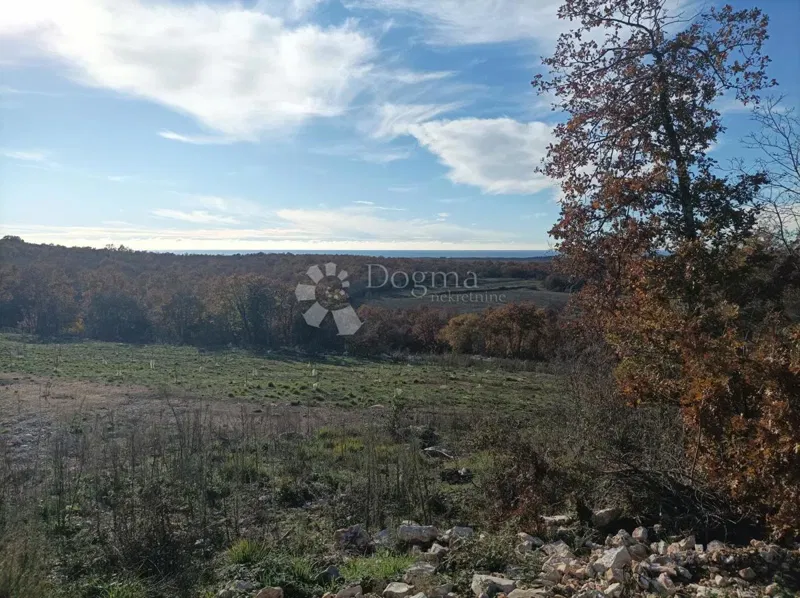 Земля Golaš, Bale, 23.971m2