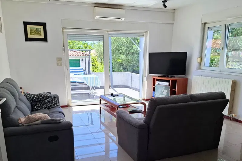 Spacious family house with a large yard and outbuildings – 2
