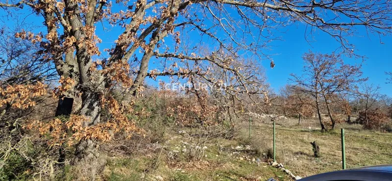 Land Zadar – 2