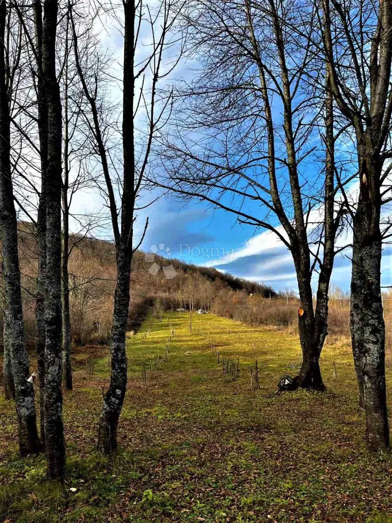 Terreno agricolo Boričevac, Donji Lapac, 3.812m2 – 2