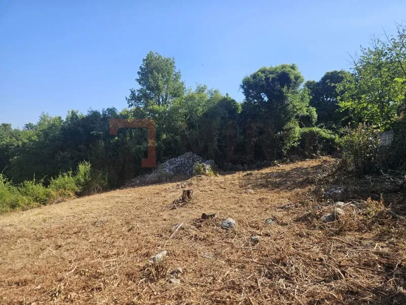 Telek Barušići – 2