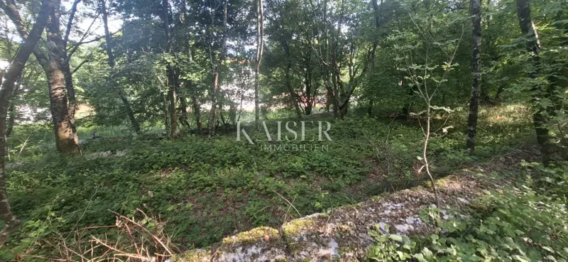 Építési telek Jušići, Matulji, 2.065m2 – 3