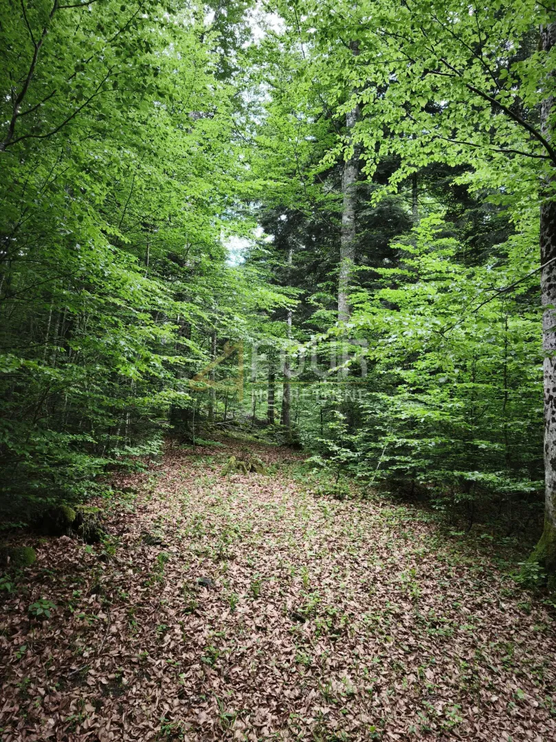 Grundstück Vrbovsko, 31.323m2