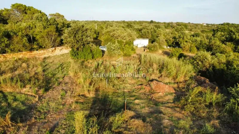 Vodnjan – 8,000 m² Investment Land Opportunity – 2