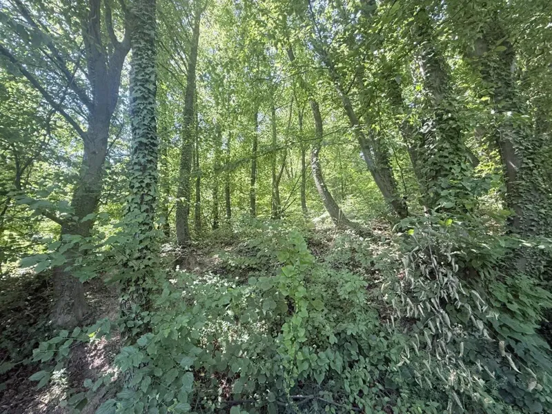 Ziemia rolna Miroševec, Gornja Dubrava, 15.825m2 – 2
