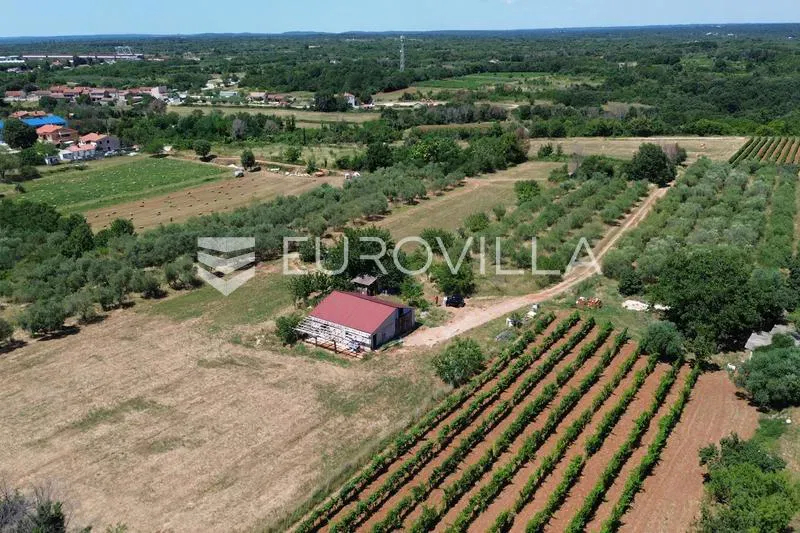 Istria, Vodnjan, farm building with auxiliary building on spacious land – 2