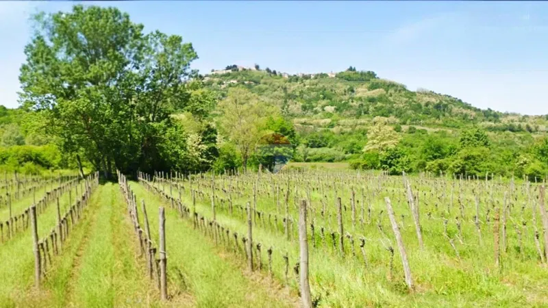 Nicht-strukturelle Land Motovun, 7.123m2
