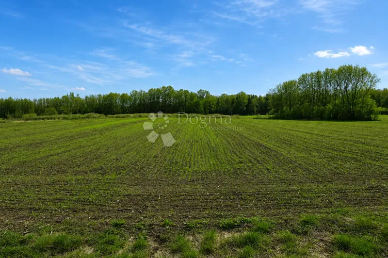 Сельскохозяйственная земля Biškupec, Varaždin, 11.109m2