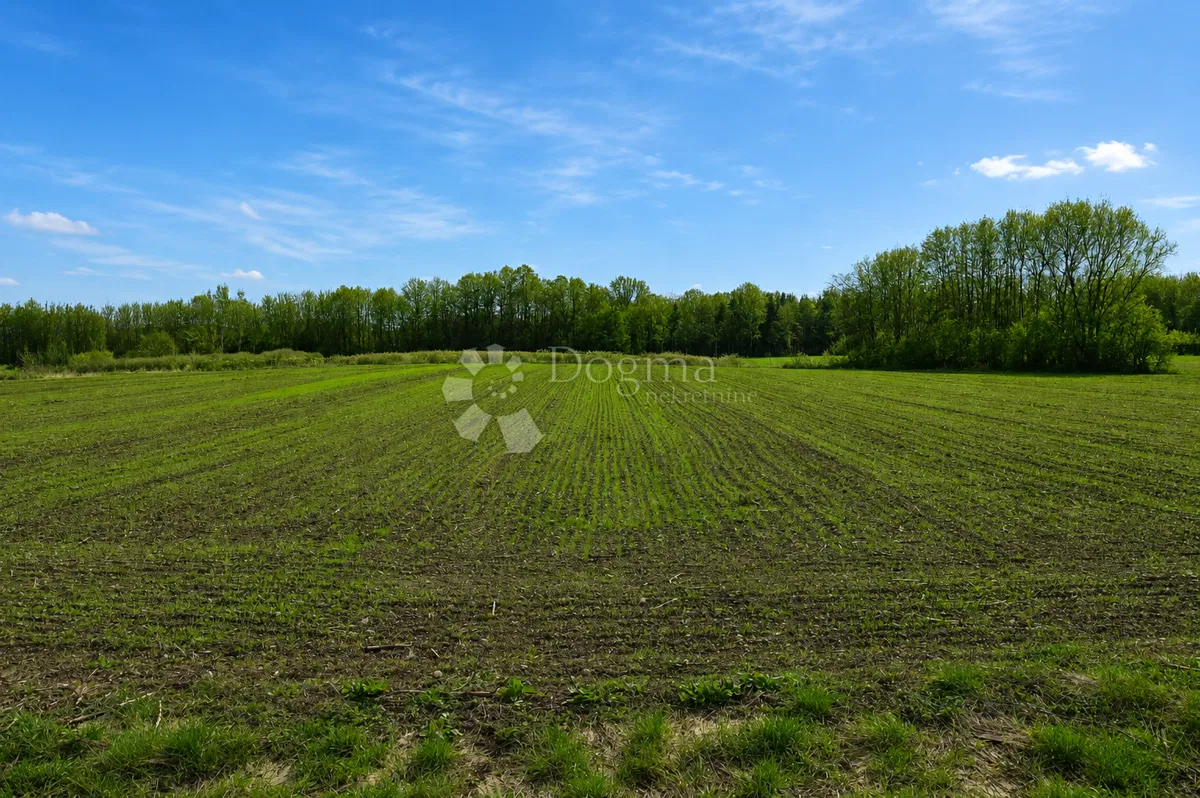 Mezőgazdasági terület Biškupec, Varaždin, 11.109m2