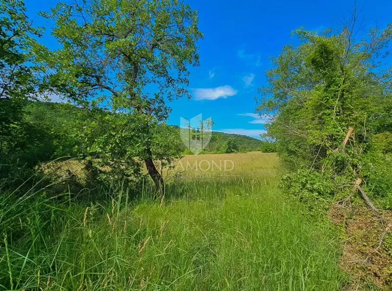 Buje, splendido terreno di 745 m² in posizione tranquilla! – 2