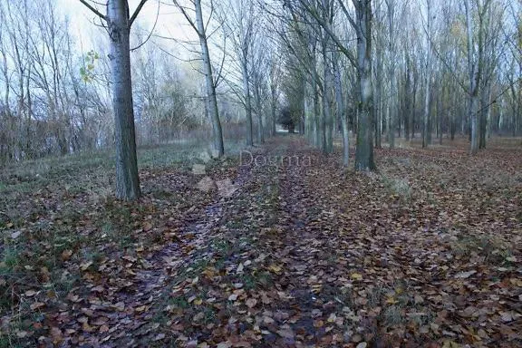 Mezőgazdasági terület Labin, 23.091m2 – 2