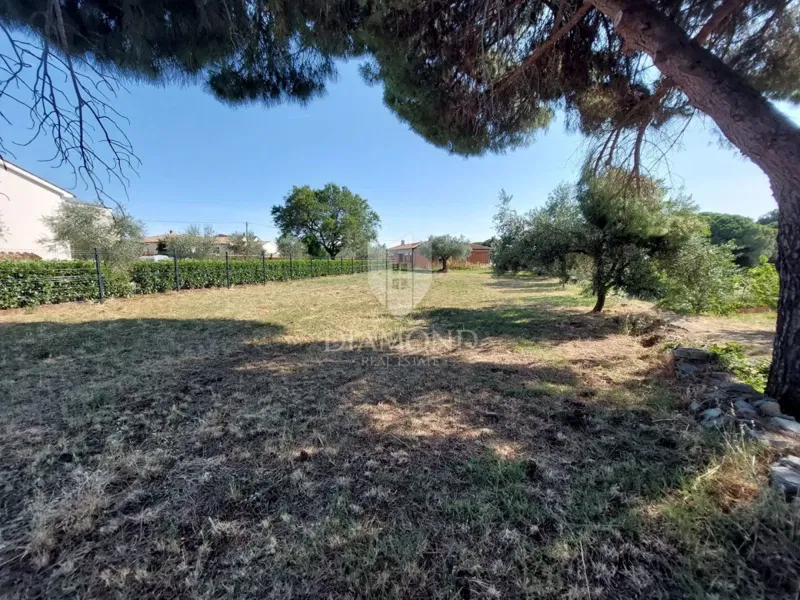 Istria, Galižana, beautiful flat building land with an olive grove – 3
