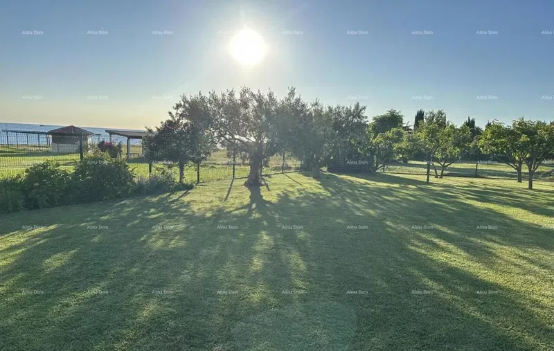 Telek Umag – 2