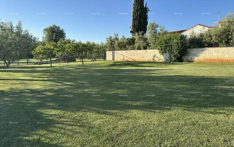 Telek Umag – 3