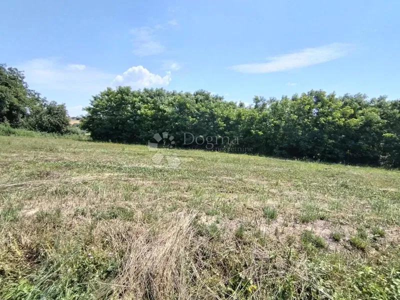 Building land Novi Đurđic, Križevci, 5.732m2 – 2