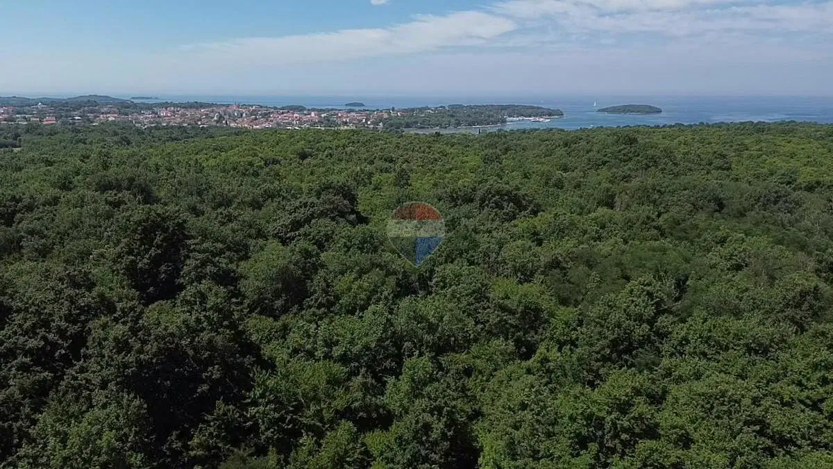 Terreno non edificabile Funtana, 6.176m2