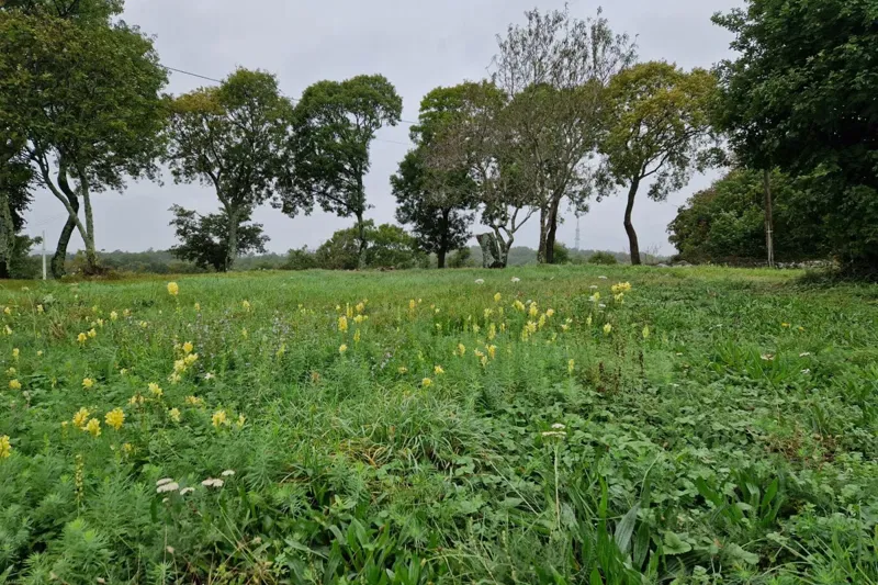 Building Plot in an Idyllic Location – 3
