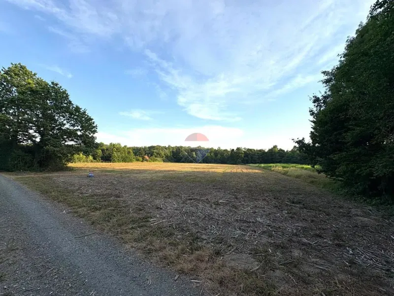 Building plot Hrebinec, Brckovljani, 11.312m2 – 2