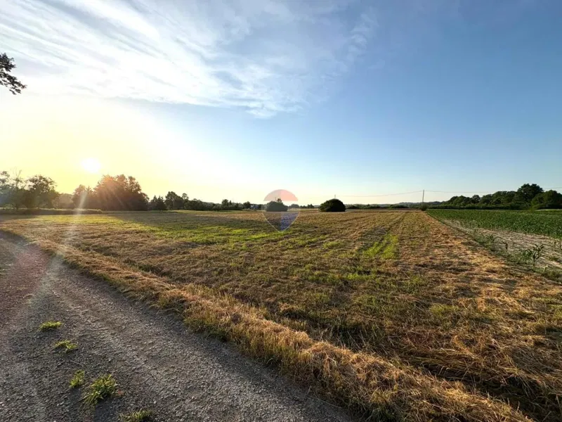 Terreno edificabile Hrebinec, Brckovljani, 3.683m2 – 3