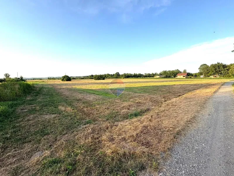 Terreno edificabile Hrebinec, Brckovljani, 11.504m2 – 2