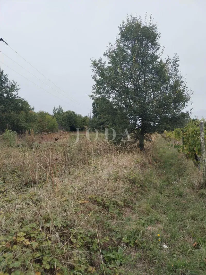 Terreno Labin – 2