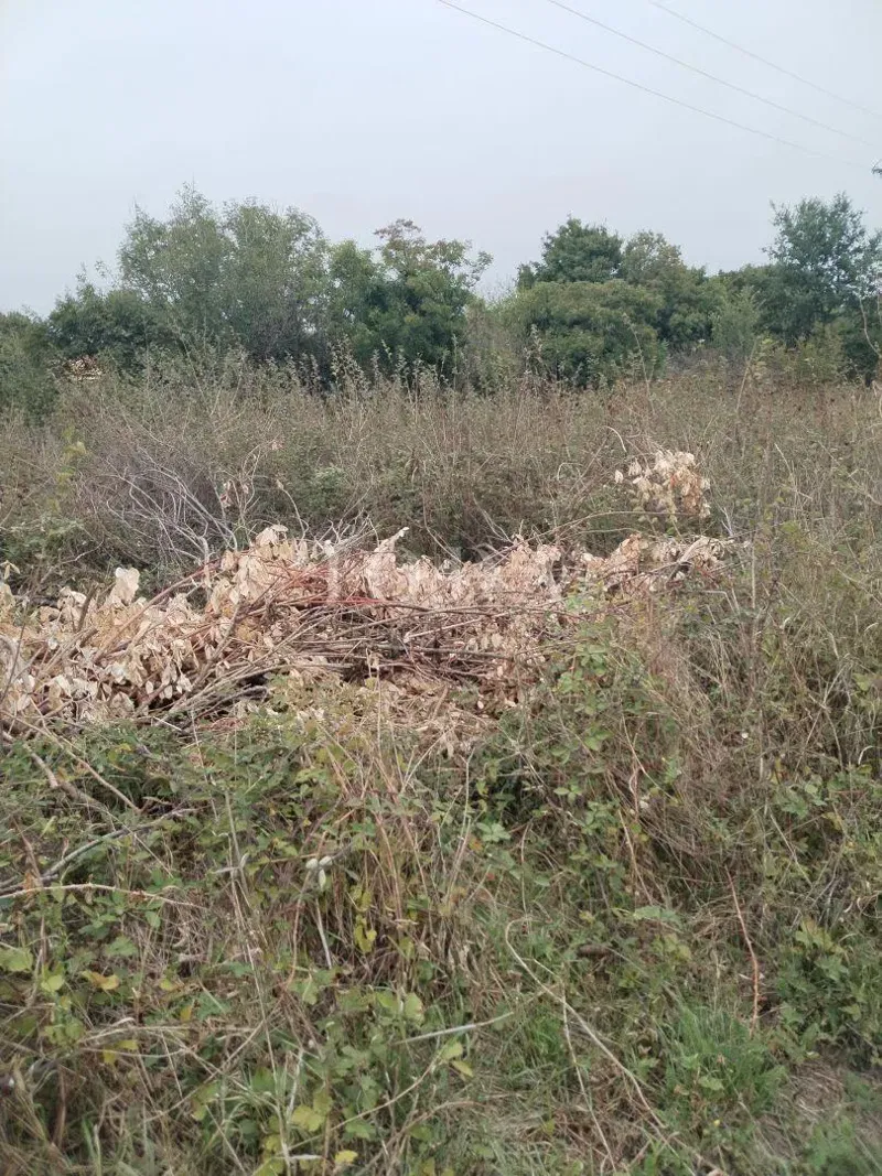 Terreno Labin – 3