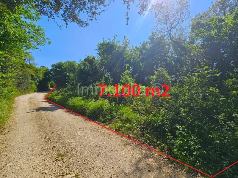 POLJOPRIVREDNO ZEMLJIŠTE  7.100 m2 UZ CESTU , ŠIŠAN