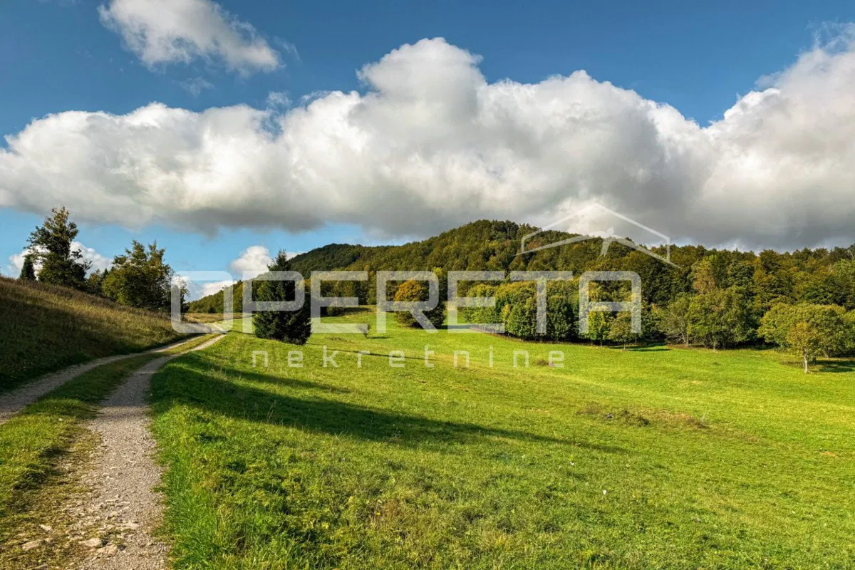 PRODAJA, KMETIJSKO ZEMLJIŠČE, GORSKI KOTAR, MRKOPALJ, 2.236 m2