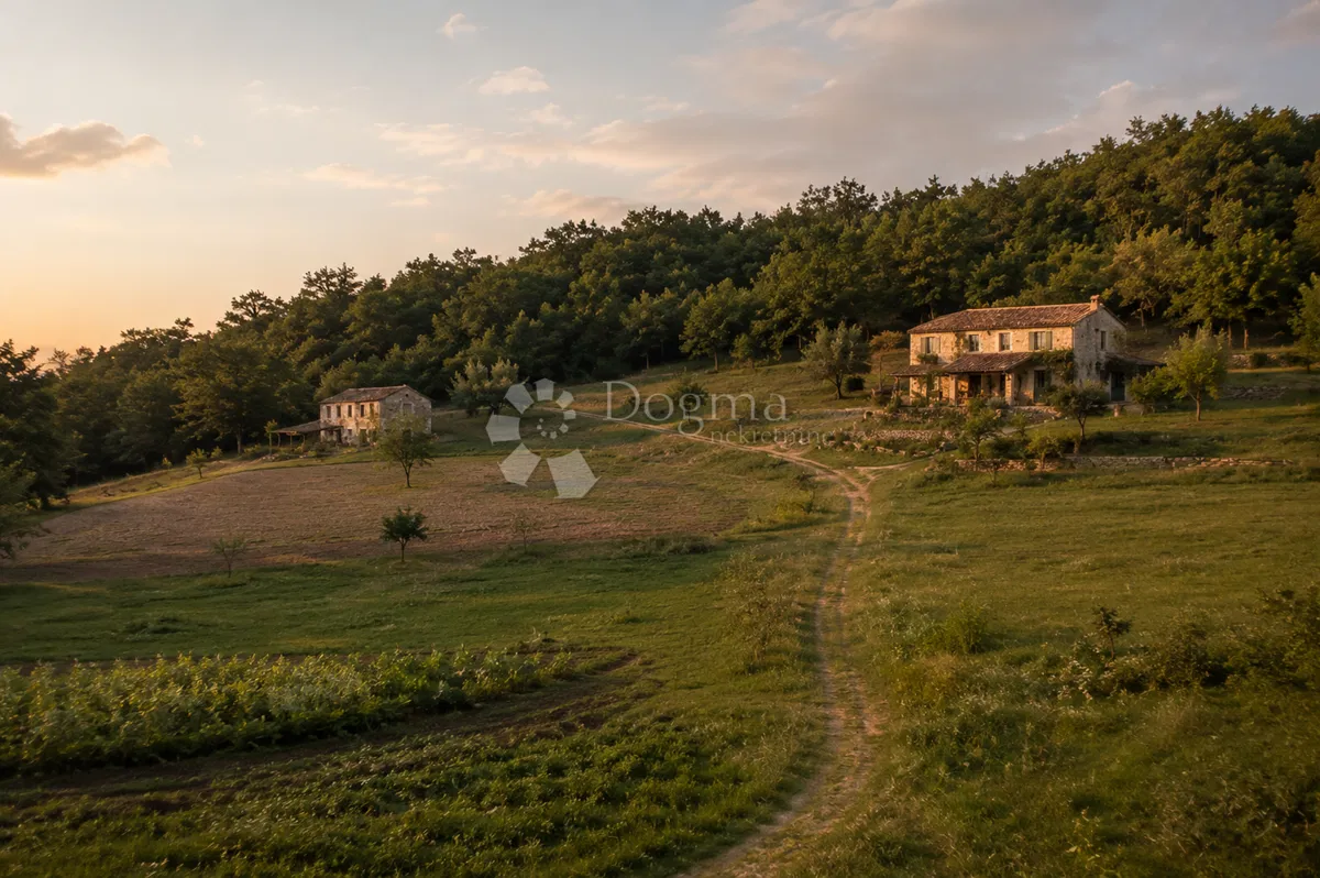 Építési telek Stari Pazin, Pazin, 46.093m2