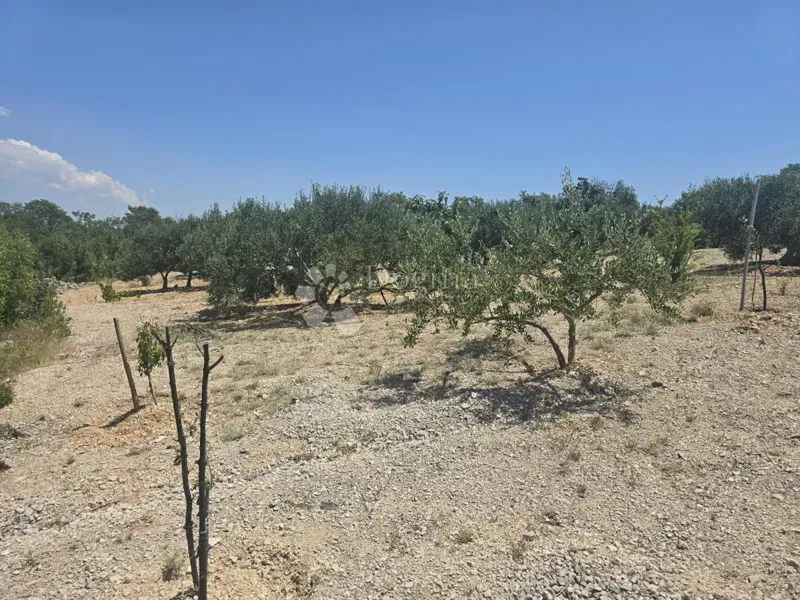 Stavební pozemek Vadalj, Primošten, 1.256m2