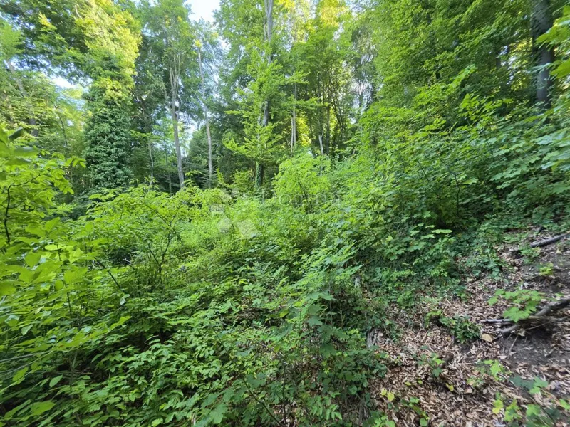 Building land Dubrovčan, Veliko Trgovišće, 4.416m2 – 3
