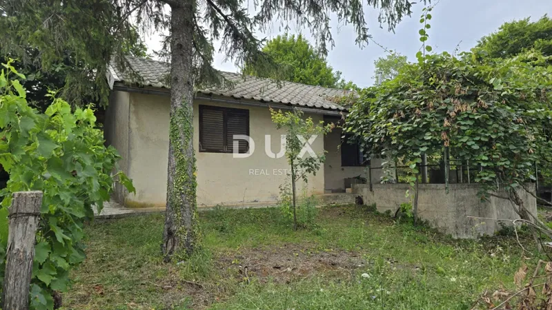 ISTRIA, LABIN – Una casa nella natura, completa solitudine con un ampio giardino – 2