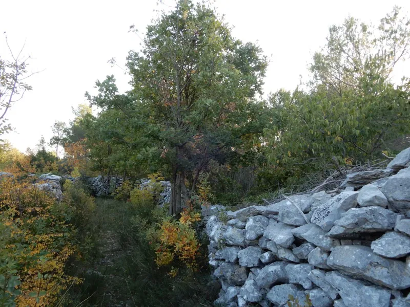 Grundstück Vodice, 11.556m2 – 2