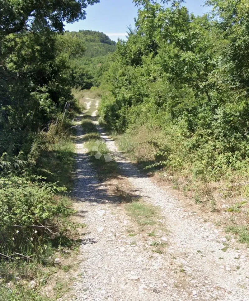 Poljoprivredno zemljište - Drivenik
