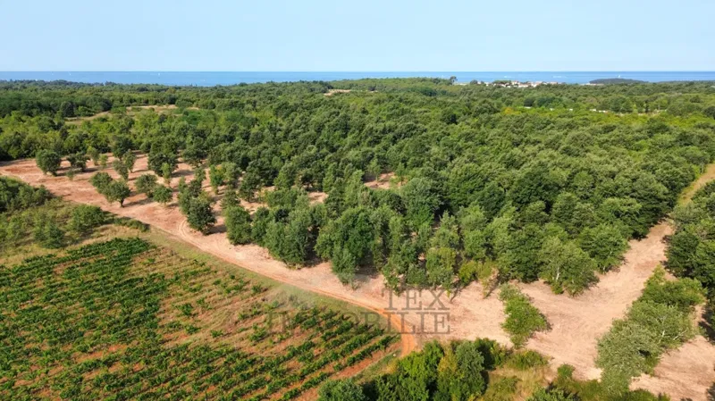 Landwirtschaftliches Grundstück in der Nähe von Poreč – nur 2 km vom Meer entfernt