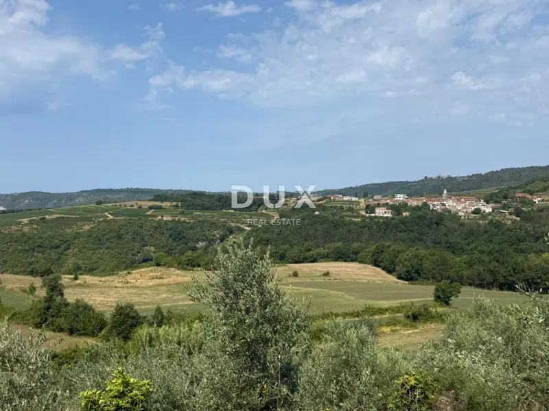 ISTRIA, GROŽNJAN - Działka budowlana z pięknym widokiem i drzewami oliwnymi