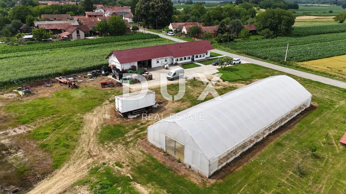 Podravina, Pitomača, tenuta, 40.623 m2, casa e serre