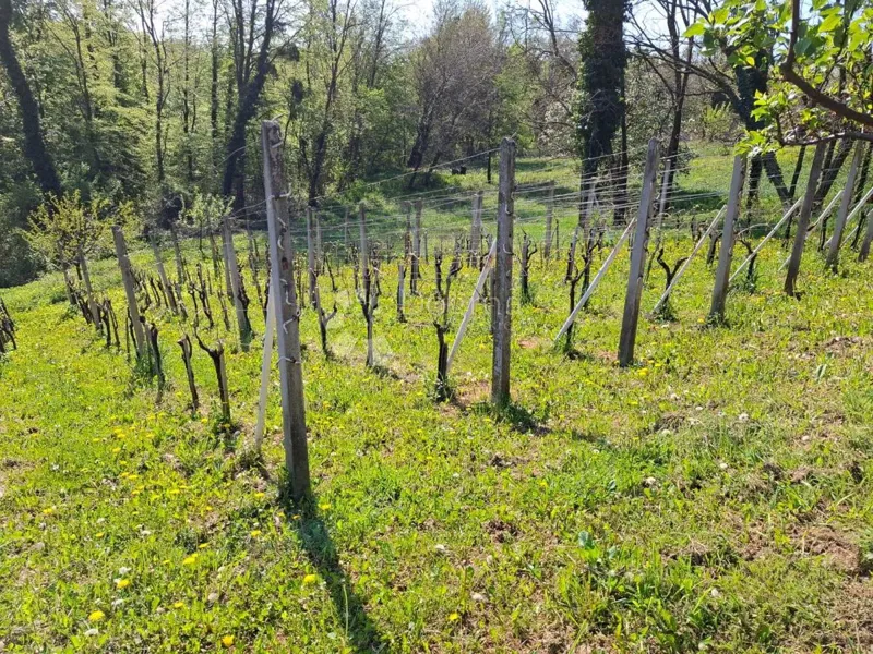 Dom Orehovec, Sveti Petar Orehovec, 60m2 – 3