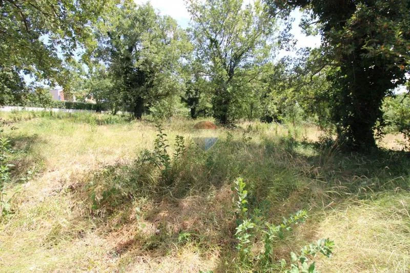 Działka Baderna – 3