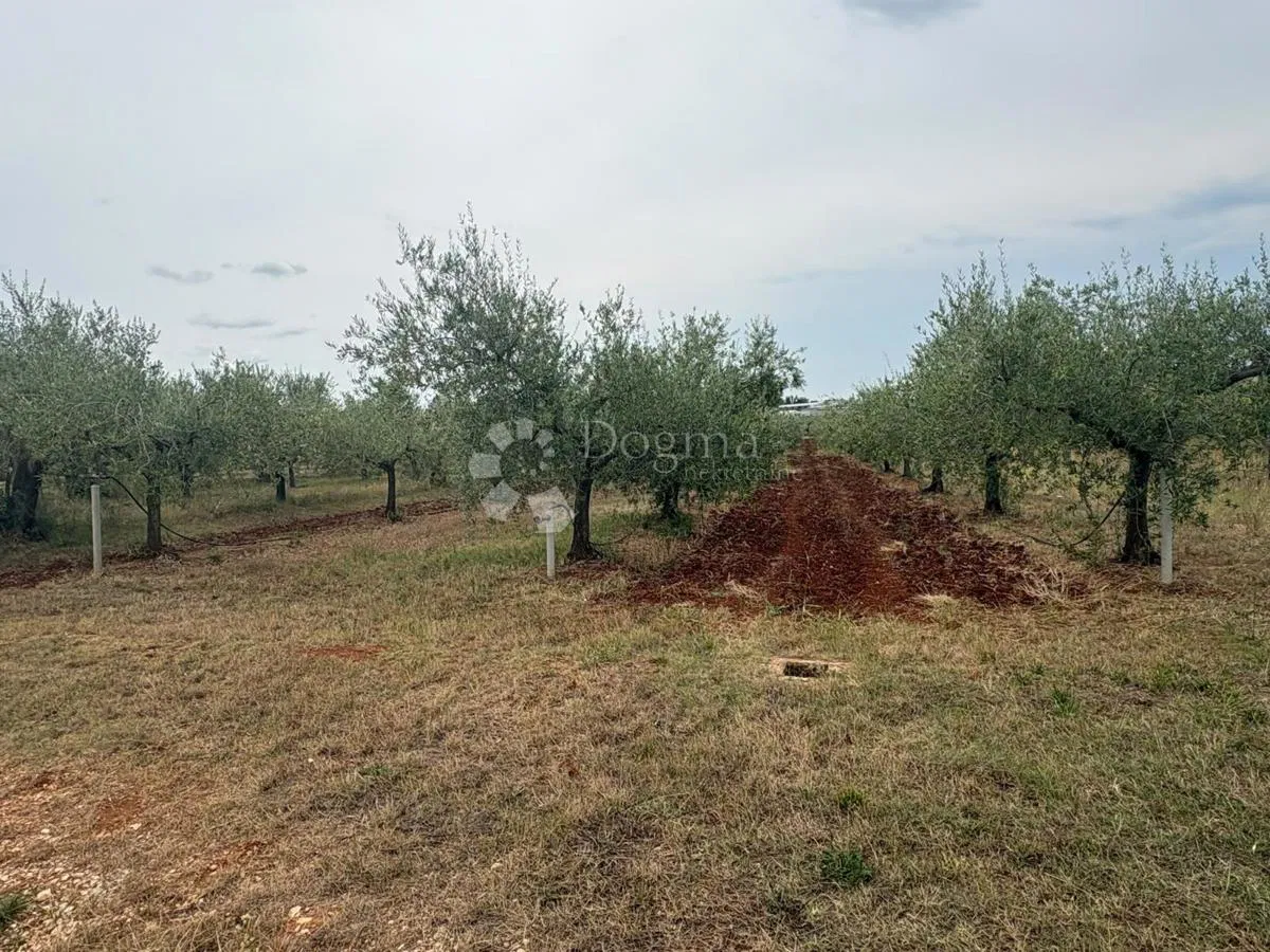 Agrarland Labinci, Kaštelir-Labinci, 2.133m2