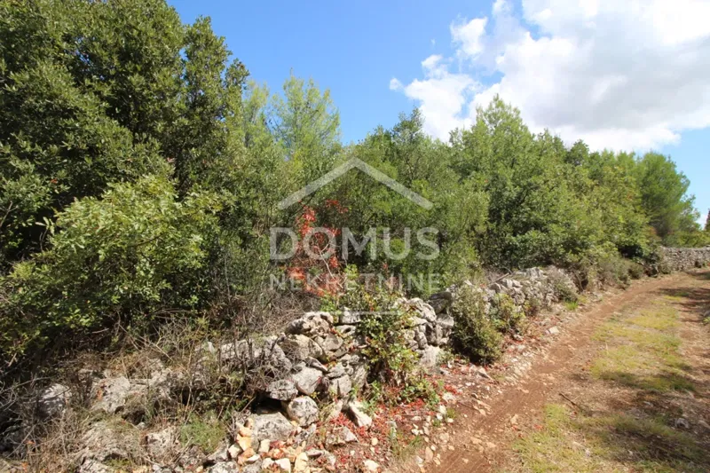 Vodice – Agricultural Land of 2,386 m² – 2