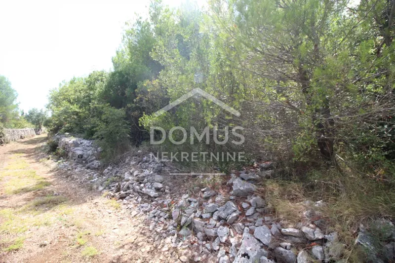 Vodice – Agricultural Land of 2,386 m² – 3