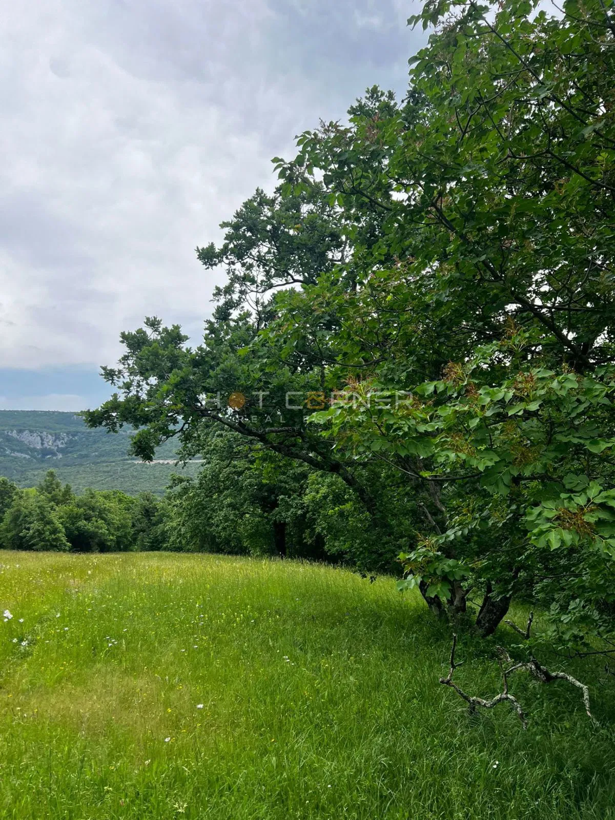 Poljoprivredno zemljište s prekrasnim pogledom na planine
