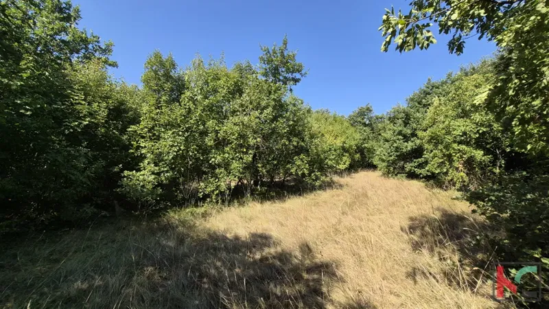 Telek Vodnjan – 2